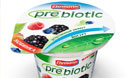Prebiotic